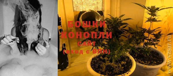 PSILOCYBIN Балабаново